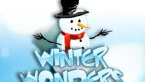 Winter Wonders