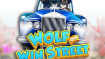 Wolf on Win Street