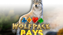 Wolfpack Pays