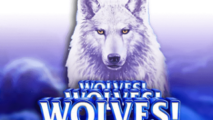 Wolves! Wolves! Wolves!