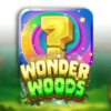 Wonder Woods
