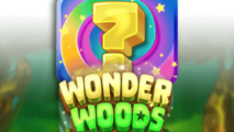 Wonder Woods