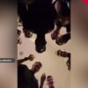 Imagini noi cu bucuria celor de la FCSB din Cluj. Reacția fanilor roș-albaștri la vestea câștigării titlului.