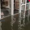 Stadionul „Francis Neuman” din Arad a suferit inundații.