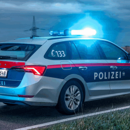 Zidar român, închis în Austria pentru 800 de euro furați dintr-un bar, deși câștigă 4.000 de euro. Ce argument a folosit avocatul său?