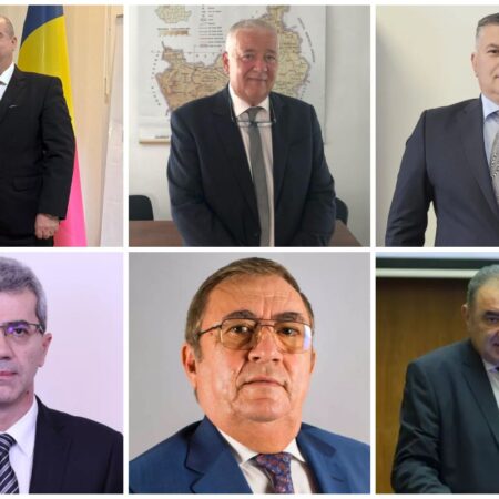 Cum compensează partidele și guvernul și ce sume primesc lunar