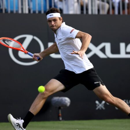 Taylor Fritz – Joao Fonseca, meciul de peste 16 ore » Vizita unui pescăruș a prevestit incidentul neașteptat de la Eastbourne