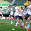 Mesajele transmise de Bîrligea, Șut și Popescu înainte de meciul cu Austria