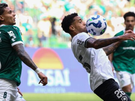 Palmeiras – Botafogo, LIVE de la ora 19:00: rivalitatea braziliană se întâlnește la Mondialul Cluburilor (VOYO)! Formațiile de start!