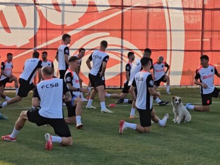 Câinele, prietenul de nădejde al campionilor la Skopje! Jucătorii l-au adoptat și s-au antrenat alături de patruped.