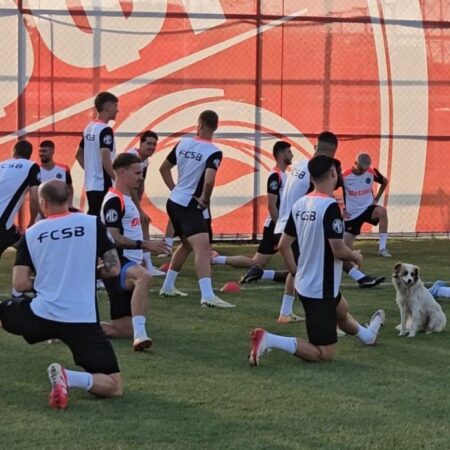Câinele, prietenul de nădejde al campionilor la Skopje! Jucătorii l-au adoptat și s-au antrenat alături de patruped.