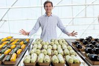 Ciprian Tătărușanu a lăsat fotbalul pentru agricultura bio!