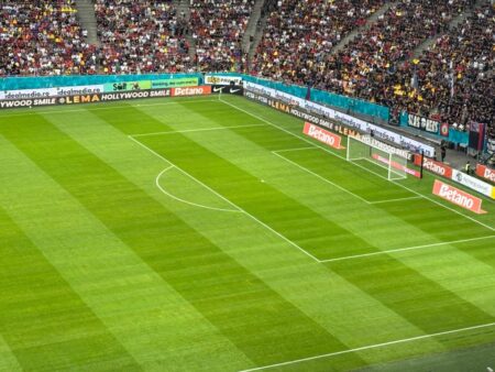 Aspectul gazonului de pe Arena Națională înainte de meciul FCSB – Shkendija