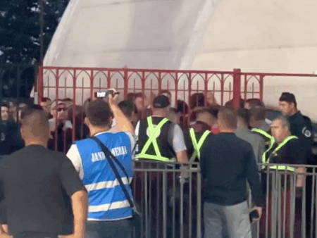 Andrei Nicolescu, implicat și el » Scandări xenofobe în stadion