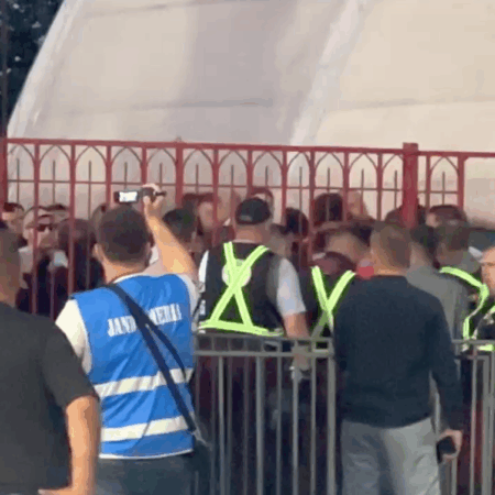 Andrei Nicolescu, implicat și el » Scandări xenofobe în stadion