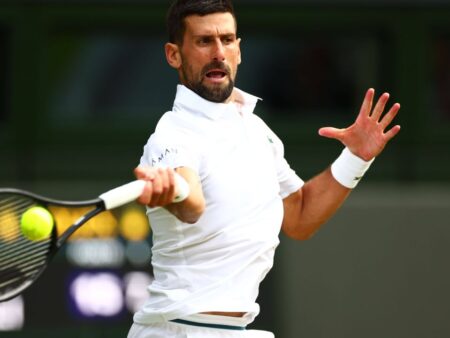 Djokovic – Sinner, „finala” semifinalelor de la Wimbledon 2025. Avantajul clar al lui Carlos Alcaraz în cursa pentru trofeu