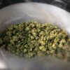 „E dificil să joci când totul în jur miroase a marijuana”
