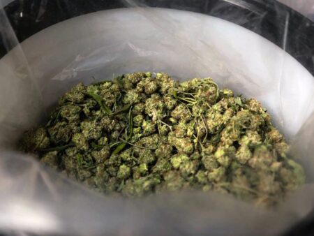 „E dificil să joci când totul în jur miroase a marijuana”