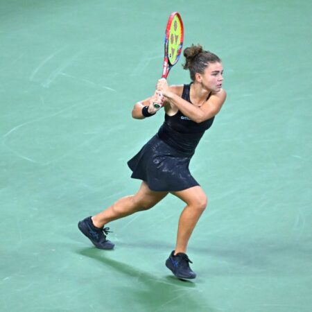 O imagine impresionantă cu o jucătoare de elită de la US Open devine virală la nivel global