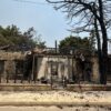 Apelul dramatic al unui baschetbalist ale cărui locuințe au fost devastate de incendiile din Cipru: „Durerea este insuportabilă”