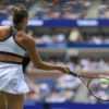 Câte stadioane, atâtea delicii: Ce mâncăruri și băuturi pot savura spectatorii la US Open 2025