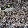UEFA a aplicat sancțiuni severe clubului Partizan după ce suporterii au afișat pe stadion bannerul ”Kosovo e Serbia”. Ce sumă trebuie să plătească clubul?