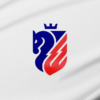 Care este povestea noului logo FC Botoșani: ce simbolizează și motivele alegerii acestuia
