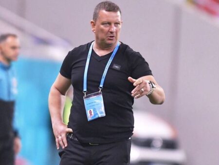 „Lebede canadiene navigând printre tractoare în timpul aratului câmpului”