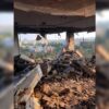 Atacul cu rachete asupra casei unui internațional ucrainean: Soția însărcinată se afla în clădire!