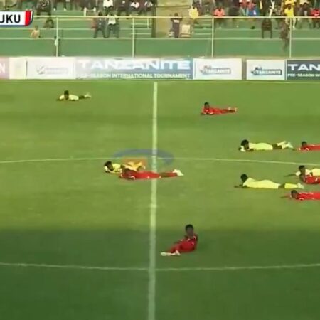 Jucătorii, arbiterul și cameramanii s-au prăbușit la pământ pentru a se feri de pericol!