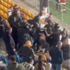 Scandal în stands la Petrolul