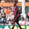 O stară din Bundesliga în căutarea unui donator de sânge pentru pisica sa