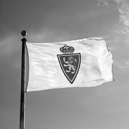 Tragedie în Spania: Un fotbalist de 15 ani de la Real Zaragoza a decedat brusc