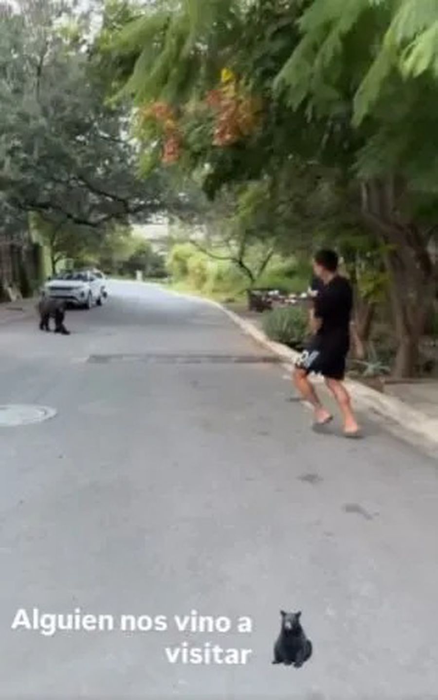 Moment de panică pentru campionul mondial din 2022! Cu ursul pe urme Angel Correa în fața ursului, cu fiica sa în brațe