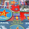 Astăzi, ÎCCJ a discutat despre dosarul anulării mărcilor Stelei » Cererea lui Talpan și răspunsul FCSB