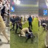 Scandal imens în meciul în care Olăroiu a pierdut calificarea directă la Mondial! Confruntări violente și obiecte aruncate din tribună