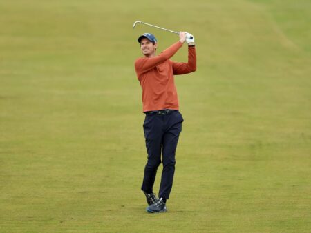 „Consider că ar fi o oportunitate de muncă extraordinară”