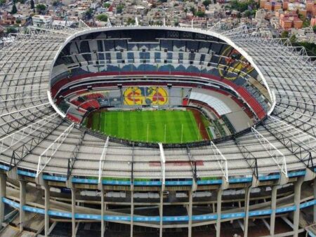 „Aceasta e mafie. E vorba de mulți bani.”