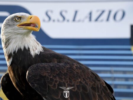 Ar putea pleca după meciul cu Lecce » Numele propuse fanilor biancocelesti