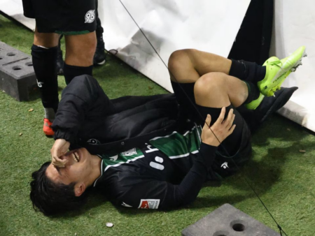 Incredibil! Colegul lui Virgil Ghiță s-a accidentat în timp ce sărea la fani! A căzut la pământ cu dureri intense.