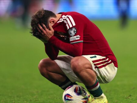 Retragera Ungariei schimbă lista potențialilor adversari ai României la barajul pentru Cupa Mondială!