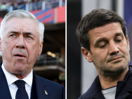 Carlo Ancelotti a observat acțiunile lui Chivu la Inter și a reacționat prompt