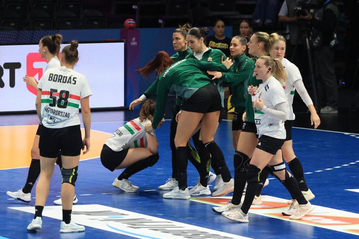 Momentele de la finalul meciului Ungaria - Japonia 26-26