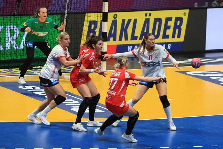 Imagini de la meciul Ungaria - Danemarca