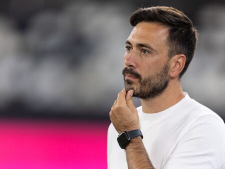 Fiul lui Ancelotti va părăsi Botafogo după un sezon de coșmar.