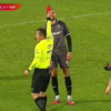 Roșu direct pentru FC Argeș – Rapid! Arbitrul nu l-a iertat și l-a trimis imediat la cabine.